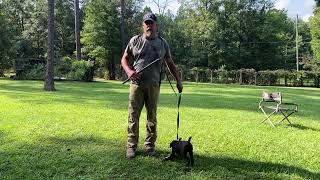 Protection work: differentiating praise vs reward during bite development for prey vs defense Profile