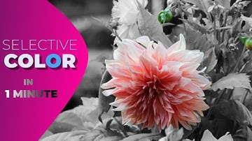 Selective color effect in 1 minute / Photo editing tips 2022