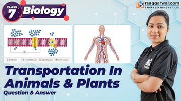 Transportation in Animals and Plants Science Class 7 Chapter-11 Questions & Answers CBSE | Biology