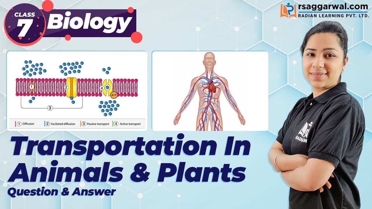 Transportation in Animals and Plants Science Class 7 Chapter-11 ...