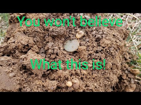 Dig Of A Lifetime!!!! Super Rare Coin! Very Old Coin!