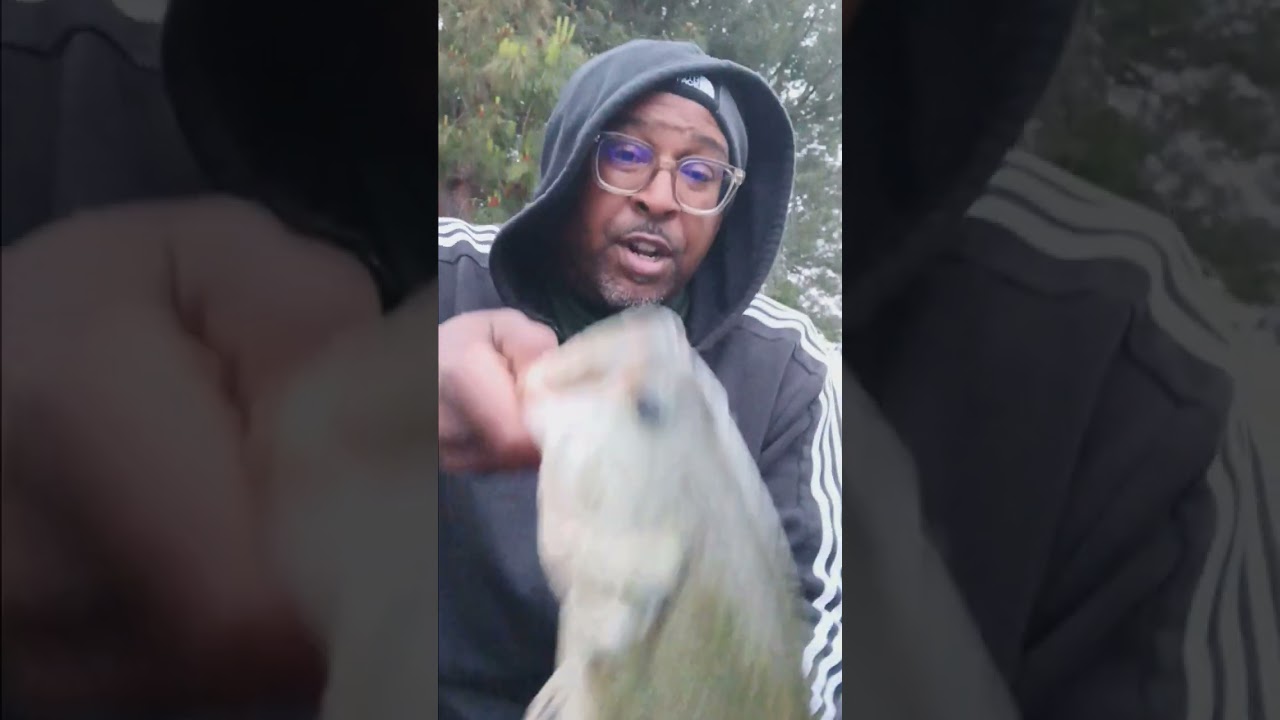 The show started after the live was over!!! 3lb 10oz Small mouth for the win 🏆