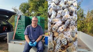 Imkerei Ende Juli - alles mit Verspätung dieses Jahr!