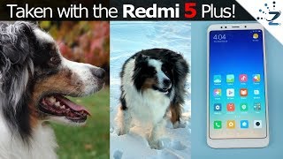 Xiaomi Redmi 5 Plus Camera Review Photo & Video Samples Included 9% Discount Inside