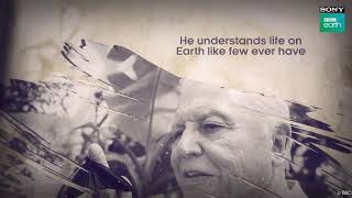 60 Years Of Sir David Attenborough | Celebrating Sir David | Sony BBC Earth