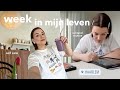 Weekvlog  ochtend routine kleur analyse  voor mezelf zorgen 