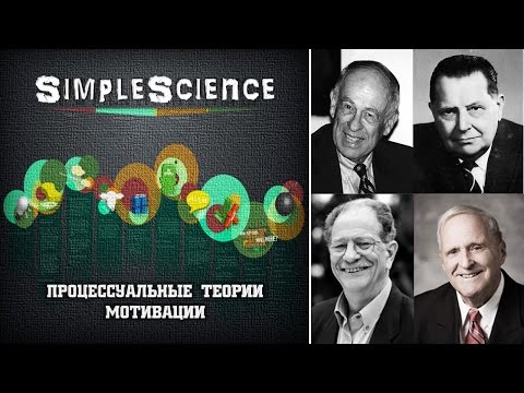 Основы менеджмента. Процессуальные теории мотивации.