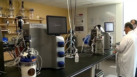 Worcester Polytechnic Institute