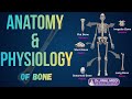 Bone Anatomy and Physiology in Hindi | Classification, Cells, Structure & Functions |Skeletal System