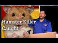 Florida Hamster killer Caught by investigators