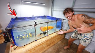 Building Insane Indoor Pool Pond? Expensive