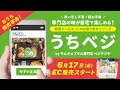 【祝！】簡単&超便利な韓国ミールキット誕生！「サムギョプサル専門店ベジテジや」のお取り寄せシリーズ『うちべジ』EC販売はじまりました！