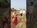 अंबवडे येथील आडसाली ऊसाला चक्क ४७ कांड्या #shorts #kisan #ऊसउत्पादन