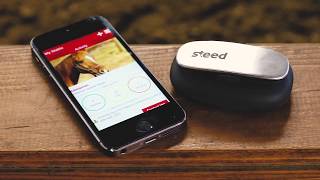 Steed Equine Monitoring Solutions - For The Love And Welfare Of Horses
