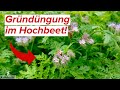 Gründüngung im Hochbeet - diese 7 Pflanzen kannst du super einsetzen!