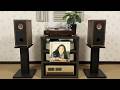 河合奈保子/竹内まりや 「けんかをやめて」 PARC Audio 13cmウッドコーンDCU-F131W