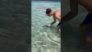 Download Lagu Things to do on Gili Meno! 🐢 #shorts #gilimeno #giliislands MP3 Download Lagu Things to do on Gili Meno! 🐢 #shorts #gilimeno #giliislands MP3