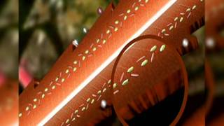 Faces of Chemistry: Hair colourants (Procter & Gamble) - Video 2 (14+)