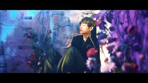 BTS V - 