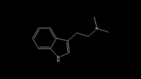 Ken Wilber - An integrally informed approach to psychedelics
