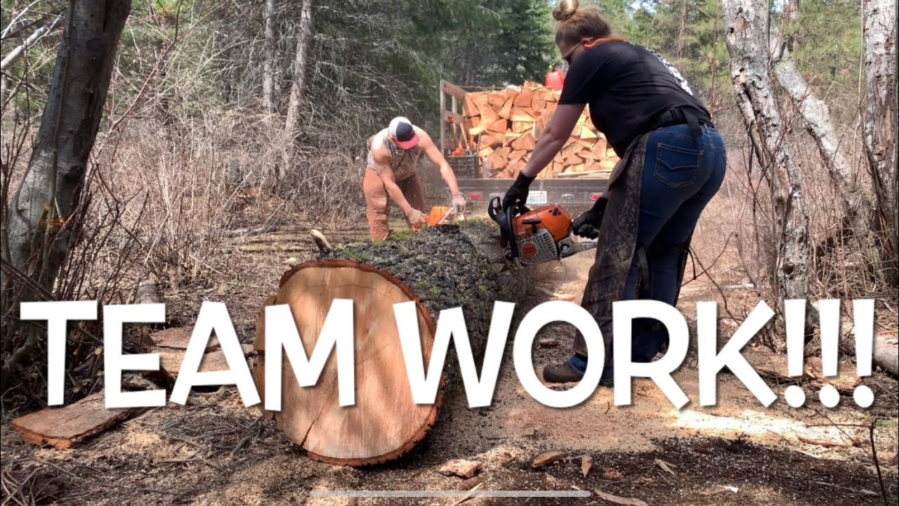 Firewood Dream Team!!! 🔥🪵🌲🪓 YouTube
