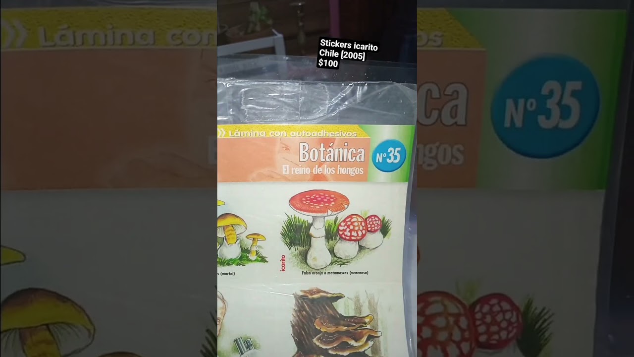 stickers icarito chile [2005] 