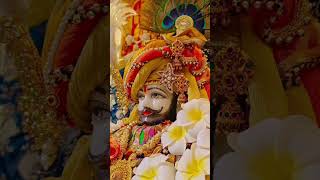 jay shir shyam baba ke 🌹🌹 #song #gaming #love #yashomatimaiyasebolenandlala