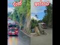 #automobile #𒆜foryou #srilanka #trending #viral #bus #1million #fypシ゚viral #subscribe