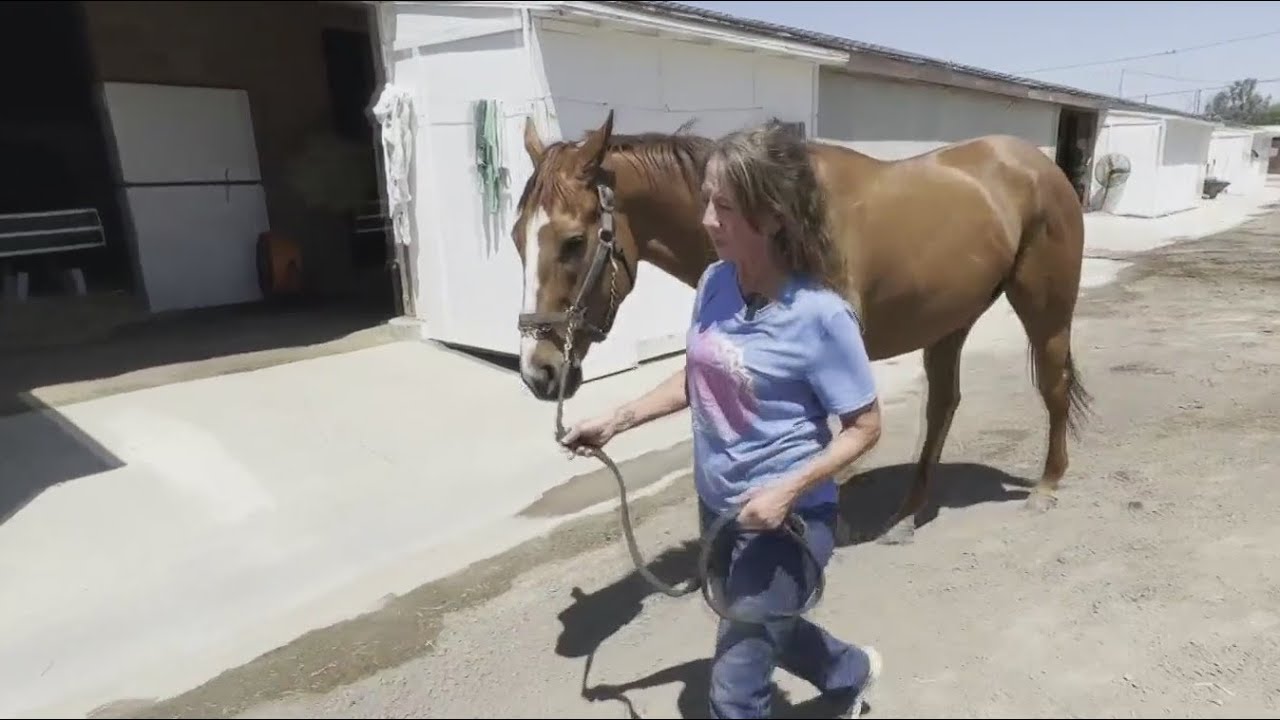 Golden Gate Fields employees heartbroken by imminent track closure
