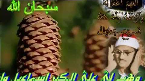 دعاء الرجل الصالح سيدنا إبراهيم لوالديه وذريته والمؤمنين سورة إبراهيم آية ٣٧-٤١ بقراءة حمزة Minshawi