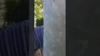 Jimminy Neutrino Vs Nip-Slip Episode 2 The First Encounter.