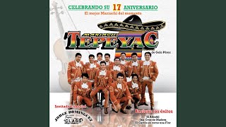 Video thumbnail of "Mariachi Tepeyac - El Cariño Es Como la Flor"