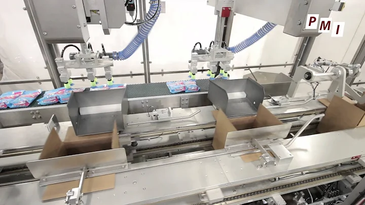 Top Load Case Packer For Stand-Up Pouches