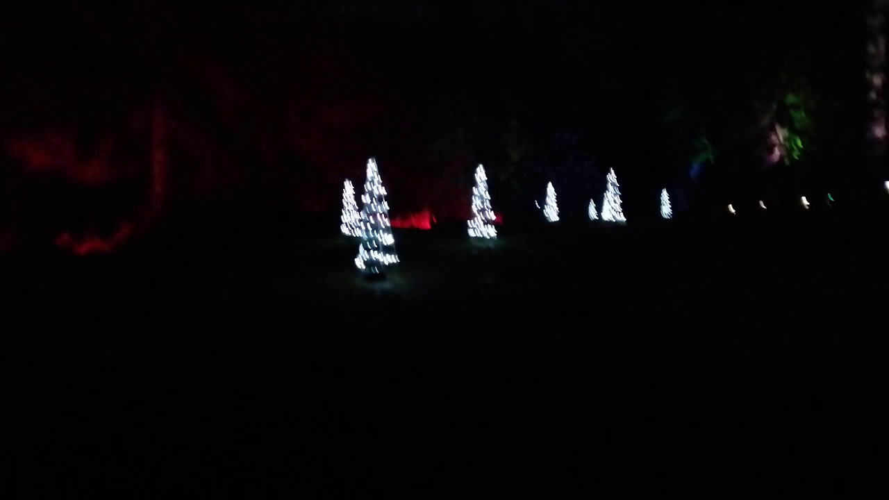Bedgebury Christmas Light Show 2019 Leabaadhlaic Solais Nollaig Seo YouTube