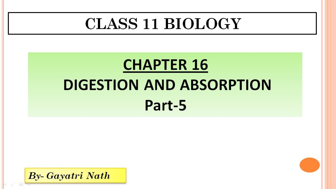 Digestion and Absorption |Part - 5| - YouTube