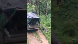 Indonesian extreme road