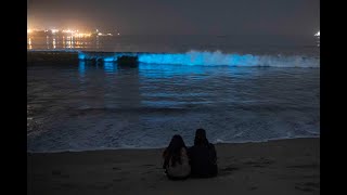 Bioluminescence in Long Beach