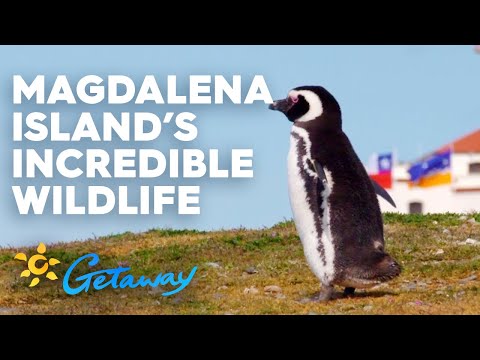 magdalena-island-|-getaway-2020