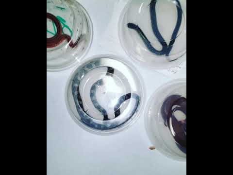 camera iphone 8 plus apk Receiving day