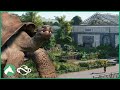 Building an outdoor  indoor galapagos giant tortoise habitat in the elm hill city zoo  planet zoo