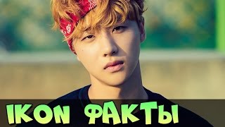 Обложка IKON ИНТЕРЕСНЫЕ ФАКТЫ БИОГРАФИЯ KPOP ГРУППА IKON ПРОФИЛЬ Скачать IKON ИНТЕРЕСНЫЕ ФАКТЫ БИОГРАФИЯ KPOP ГРУППА IKON ПРОФИЛЬ