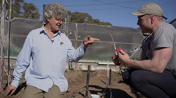 VIA - Chameleon Christmas Card