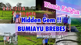 Berwisata & Menginap Di Kaligua | Puncaknya Warga Bumiayu Brebes