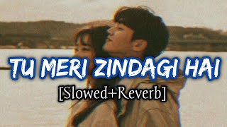 Tu Meri Zindagi Hai Slowed+Reverb Kumar Sanu And Anuradha Paudwal Aashiqui