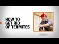 How to get rid of termites  diy pest control  the home depot