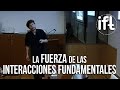 La Fuerza de las Interacciones Fundamentales - Gregorio Herdoiza