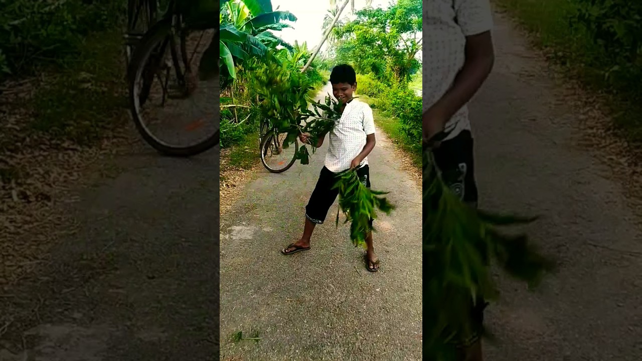 Mahal Manda Baba 🤪😛Girija Come dy Kaka Comedy 