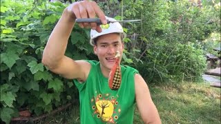 Throwline Rap 🎵 (Arborist Song)