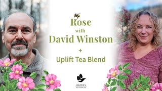 Rose with David Winston + Uplift Tea Blend