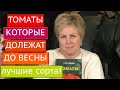 ЛЕЖКИЕ СОРТА ТОМАТОВ! СОХРАНЯТСЯ ДАЖЕ ДО ВЕСНЫ!!!